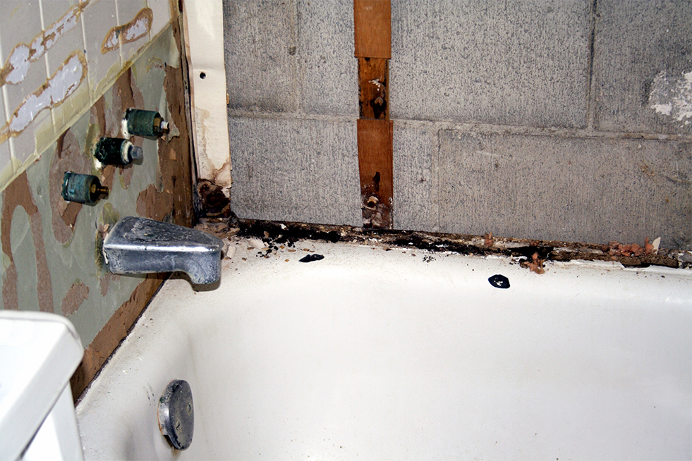 bathtub renovation